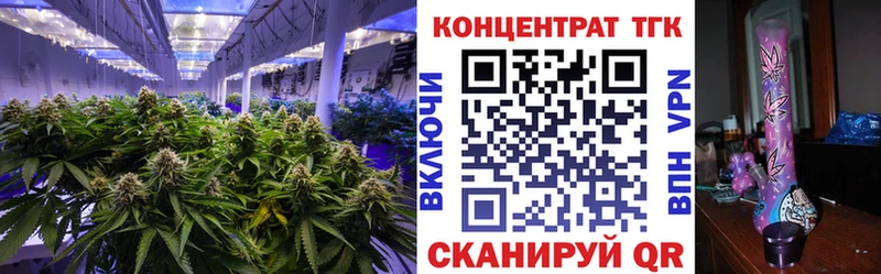 ТГК вейп  Ветлуга 