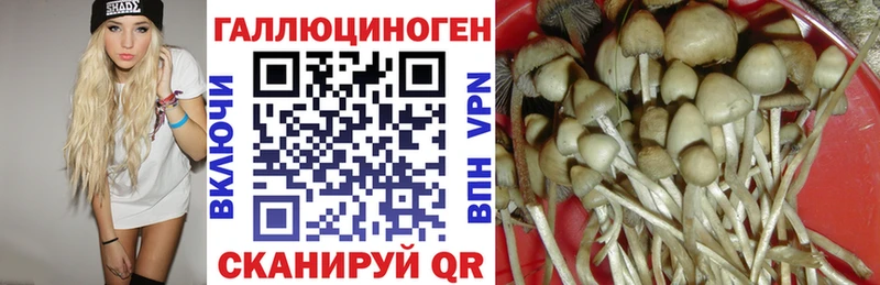 Псилоцибиновые грибы MAGIC MUSHROOMS  Ветлуга 